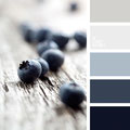 palette