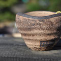 BONSAI　（凡才）