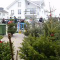 Reges Treiben beim Christbaumverkauf