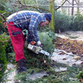 Beni an der Arbeit