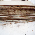 dorso fascicoli prima