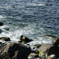 Lofoten - Ile de Vestagoy: Eggum - La mer de Norvège en bordure de chemin -