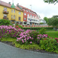 Molde - Capitale des fleurs et surtout des roses -