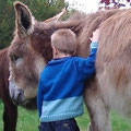 Nouveaux copains