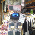 new style八王子東急スクエア店 pellet展開コーナー