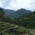 Vue sur les rizieres et le mont de Ta Phin.