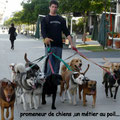 Promeneur de chiens à Puerto Madero-BA