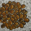 納豆　　　　　　　　　2011年　36.4×51.5cm　パネル　油彩　オイルパステル　©teraiayaka