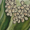 種　　　　　　　　　　2011年　36.4×51.5cm　パネル　油彩　オイルパステル　©teraiayaka