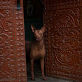 CUZCO