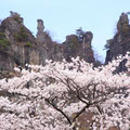 「桜の里」群馬県 下仁田町 / 堀内：奇岩が連なる妙義山を背景に、麓の里に咲く桜の絶景を撮影。