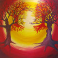 Licht Weg