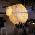 Weekdier 65x40x60cm