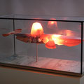 Who is afraid of plastic? 100x40x50cm 