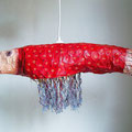 Zoenvis 60x20x15cm