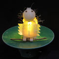 Bladluis 30x30x30cm  