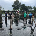 tirta-gangga-wasser-tempel