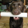 Zewa-Papprolle festhalten