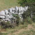 Causse de Gramat : Murets de pierre sèche.