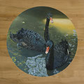 Schwarze Schwäne / Black Swans, Oil on Wood, D 50 cm
