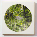 Kaisermantel / Silver Washed Fritillary, Oil on Wood, D 26 cm