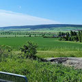 Blick in die Goldene Aue