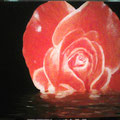 33 Rose im Wasser m.Rahmen   Acryl/Keilrahmen 50x40   125 €