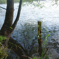 installierter Lattenpegel am Entensee