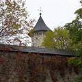 Monastère de Moldovita: le clocher.