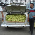 Tashkent - Vente de pommes.
