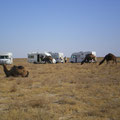 Désert d'Oust-Ourt - Dernier bivouac en Ouzbekistan.