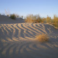 Moynaq - Dune de sable sable près de la Mer d'Aral.