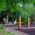Baum-(Stamm)-Hain - PeWe