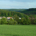 Waldhilsbach und der Bammertsberg...