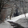 Steiler Weg zur Dilsberger Straße - PeWe