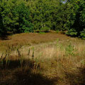 So sollte alles sein...  - Foto PeWe