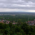 Hoch über der Rheinebene - PeWe