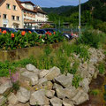 Morgentlicher Treff...(c) PeWe