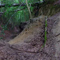Rutschungen in der Hohle