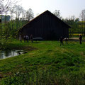 Feldscheune am Golfplatz