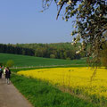 Die Exkursion beginnt an der Landstraße zwischen Wiesenbach und Lobbach