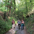 In einem typischen Hohlweg - Foto Ingo Pedal