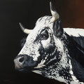 Poésie IV - Acrylique sur toile - 60 x 60 cm - 2020<br><br>Peinture vache . vache vosgienne . toile . peinture animalière . peintre animalier . race vosgienne