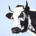 Lilas III - Acrylique sur toile - 60 x 60 cm - 2019<br><br>Peinture vache . vache vosgienne . toile . peinture animalière . peintre animalier . race vosgienne