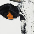 Blanche - Acrylique sur toile - 30 x 60 cm - 2022<br><br>Peinture vache . dessin vache . vache vosgienne . toile . peinture animalière . peintre animalier . race vosgienne