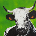 Praline - Acrylique sur toile - 60 x 60 cm - 2019<br><br>Peinture vache . vache vosgienne . toile . peinture animalière . peintre animalier . race vosgienne