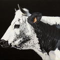 Cigale - Acrylique sur toile - 40 x 80 cm - 2019<br><br>Peinture vache . vache vosgienne . toile . peinture animalière . peintre animalier . race vosgienne40