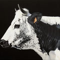 Cigale - Acrylique sur toile - 40 x 80 cm - 2019<br><br>Peinture vache . vache vosgienne . toile . peinture animalière . peintre animalier . race vosgienne40