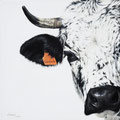 Libellule - Acrylique sur toile - 50 x 50 cm - 2022<br><br>Peinture vache . vache vosgienne . toile . peinture animalière . peintre animalier . race vosgienne .