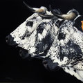 Sœurs - Acrylique sur toile - 60 x 60 cm - 2016<br><br>Peinture vache . vache vosgienne . toile . peinture animalière . peintre animalier . race vosgienne